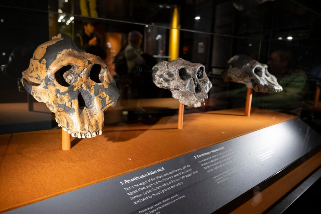 Nairobi Lifestyle Circuit - Cultural Museum Exhibit inside a Nairobi museum highlighting Kenyan history and cultural heritage.